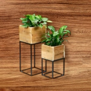 May include: Two wooden plant pots with black metal stands. The larger pot is on a taller stand and the smaller pot is on a shorter stand. Both pots are filled with green plants.