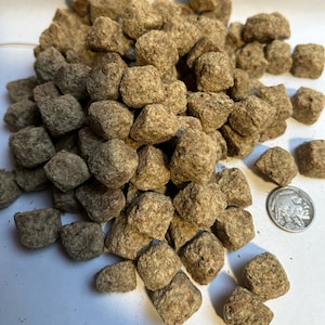 May include: A pile of brown fish food pellets on a white surface. The pellets are square shaped and have a rough texture. A silver US quarter is included for scale.