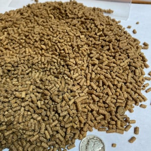 May include: A close-up of a pile of brown, cylindrical fish food pellets. A silver US half dollar coin is in the lower right corner of the image for scale.