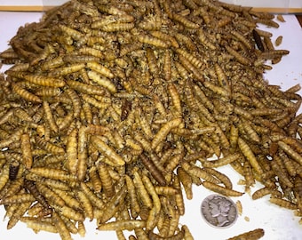 Dried Black Soldier Fly Larvae: Premium Reptile, Fish, Bird Food