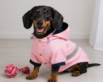Impermeable para perros salchicha y corgi. Chaqueta impermeable personalizada para mascotas con nombre bordado. Ropa para perros y gatos pequeños, medianos y grandes.