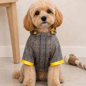 Op de afbeelding: Een hond draagt een grijs, zwart en wit geruite regenjas met een capuchon. De jas is voorzien van felgele biezen bij de mouwboorden en de opening van de capuchon, samen met een centrale sluiting. De hond heeft lichtbruine, krullende vacht.