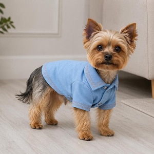 Op de afbeelding: Een kleine hond draagt een lichtblauw overhemd met knopen en bruinbeige stiksels rond de kraag en manchetten. De hond heeft bruin en bruingeel haar en staat op een lichtgekleurde houten vloer. Het overhemd heeft korte mouwen en een klassieke kraag.
