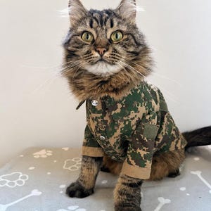 Military Cat Clothes - Etsy