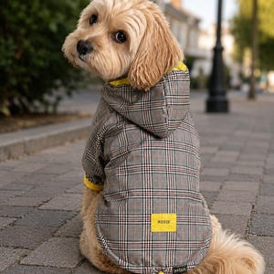 Könnte beinhalten: Ein hellbrauner Hund trägt eine Kapuzenjacke mit schwarz-weiß-rotem Karomuster. Die Jacke hat ein leuchtend gelbes Innenfutter, einen gelben rechteckigen Aufnäher mit dem in Schwarz gedruckten Namen ROSIE und ein kleines schwarzes Etikett petico.
