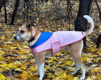 Impermeable para perros – Chaqueta a medida para perros y gatos pequeños y grandes – Ropa personalizada para mascotas - Impermeable para perros salchicha