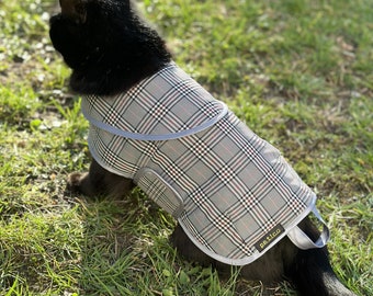 Stylish Englishman Waterproof Raincoat for Dogs - Custom Sizes Available - Personalized Dog Jacket - Personalized Pet Name Option