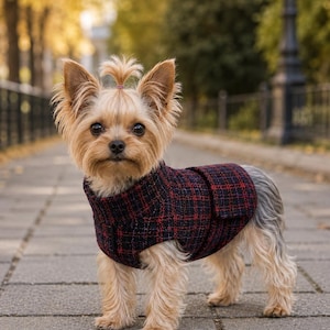 Peut inclure: Un petit Yorkshire Terrier au pelage beige et gris, portant un manteau pour chien à carreaux bleu marine foncé et rouge. Le chien a une petite touffe de poils sur la tête attachée par un élastique rose, debout sur un chemin pavé en extérieur.