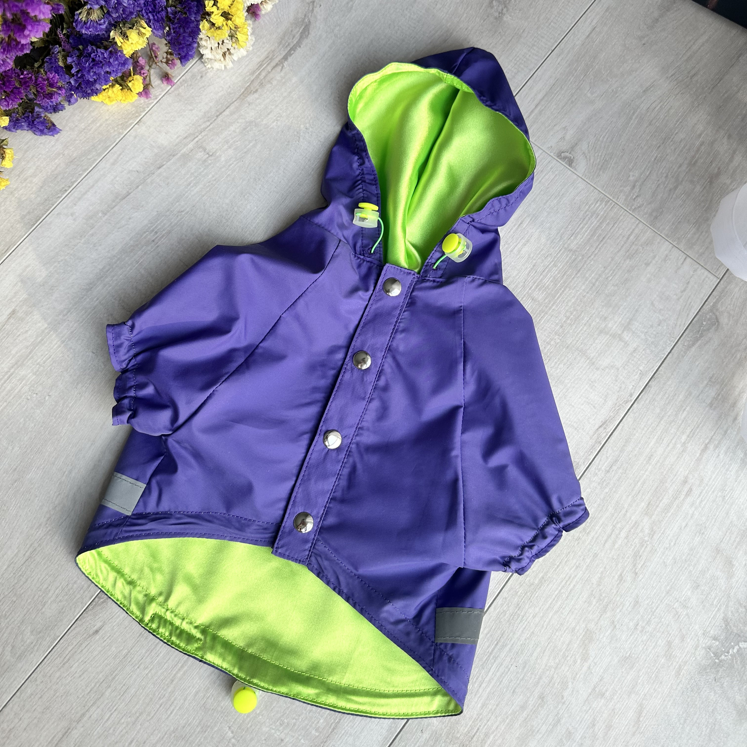 Beagle rain coat Italia