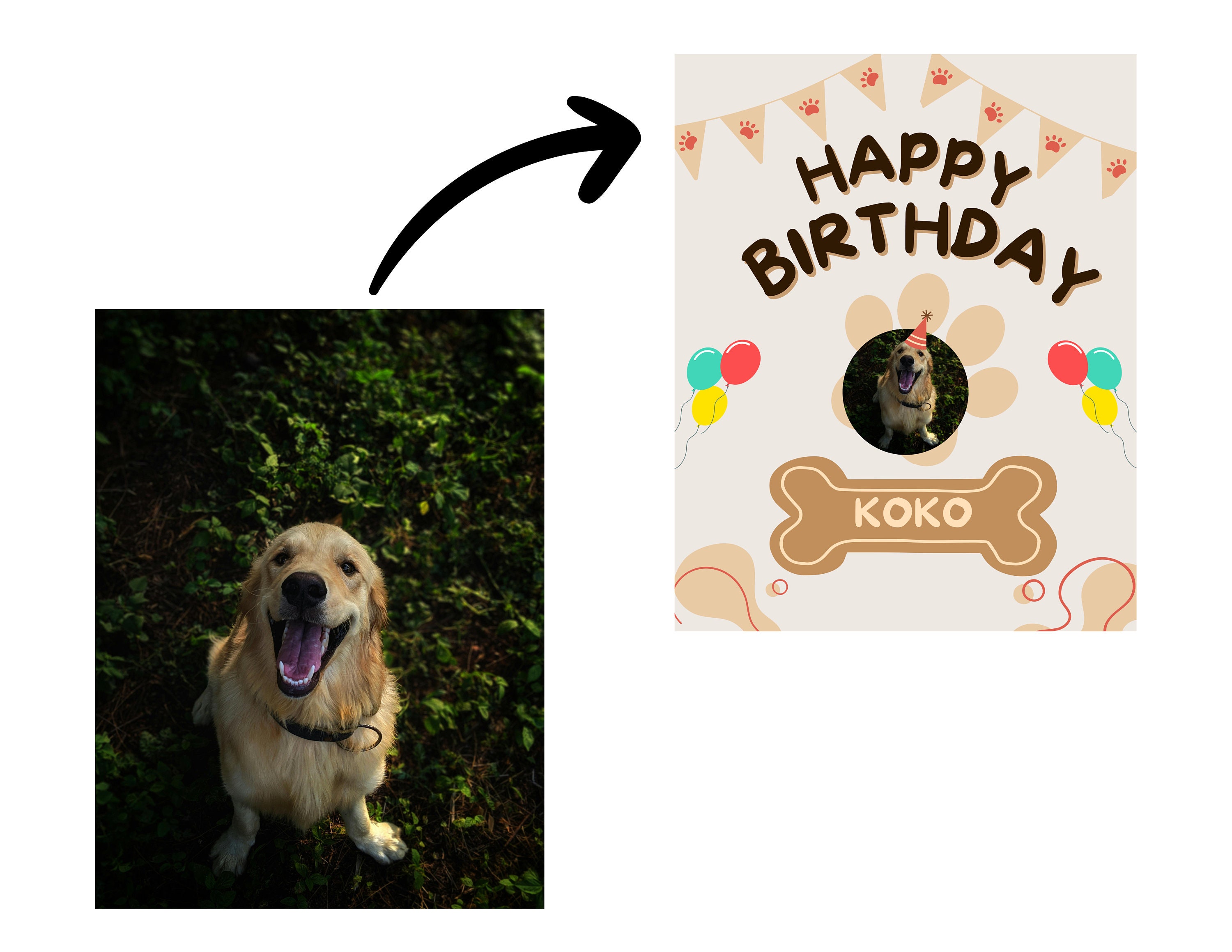 Personalized Dog Birthday Printable Party Sign Dog Name and Photo