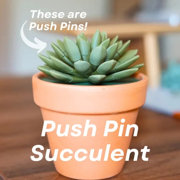 Push pin succulent, 3d printed plant, push pin stem, office, succulent, birthday gift, housewarming