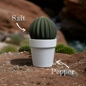 Plant and Pepper,Salt and Pepper holder,Salt and Pepper shaker, Salt and Pepper,Home decor,Housewarming gift,Home gift,Gift for home,Unique