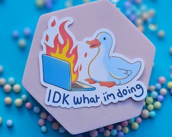 May include: A pink hexagonal sticker featuring a cartoon duck wearing a blue and white shirt, perched on a laptop with flames erupting from the screen. The text "IDK what I'm doing" is written in white on a white background.
