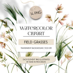 Op de afbeelding: Een collectie aquarelillustraties van veldgrassen in groene en zachte roze tinten. De afbeelding bevat de tekst: 14 PNG, WATERCOLOR CLIPART, FIELD GRASSES, TRANSPARENT BACKGROUND | 300 DPI, EACH ELEMENT WAS ILLUSTRATED BY HAND IN PROCREATE.