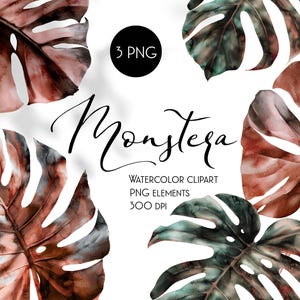 Watercolor Monstera Clipart: Tropical Leaf PNG Images (Digital Download)