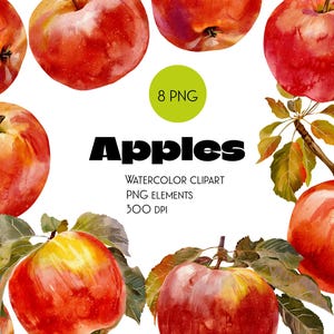 Maçãs em aquarela, pacote de clipart de maçãs, arquivos PNG, conjunto de clipart de maçãs, clipart pintado à mão, PNG digital, download de maçãs, download instantâneo