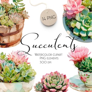 Suculentas Imágenes Prediseñadas de acuarela, coloridas plantas de cactus botánicos, vegetación, plantas florales, imágenes prediseñadas, macetas suculentas, descarga digital PNG