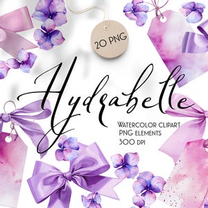 Clipart aquarel hortensia, strikken en cadeaukaartjes Zachte lila tinten handgeschilderde hortensiabloemen originele aquarel, niet door kunstmatige intelligentie gegenereerd, strikken, aquarel png
