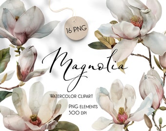 Ensemble de cliparts aquarelle magnolia : PNG floral peint à la main (téléchargement numérique)