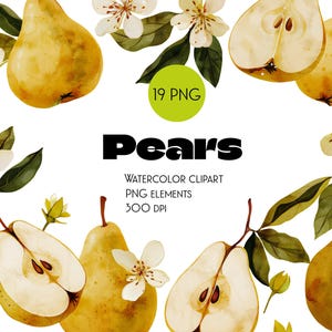 Pere acquerellate, bundle di clipart di pere, file PNG, set di clipart di pere, clipart dipinte a mano, PNG, digitale, download di pere, download istantaneo