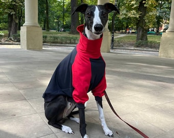 以下が含まれることがあります： グレーのタイル張りの床に座っている、黒と白の犬が赤と黒のセーターを着ています。犬はカメラを直接見ています。