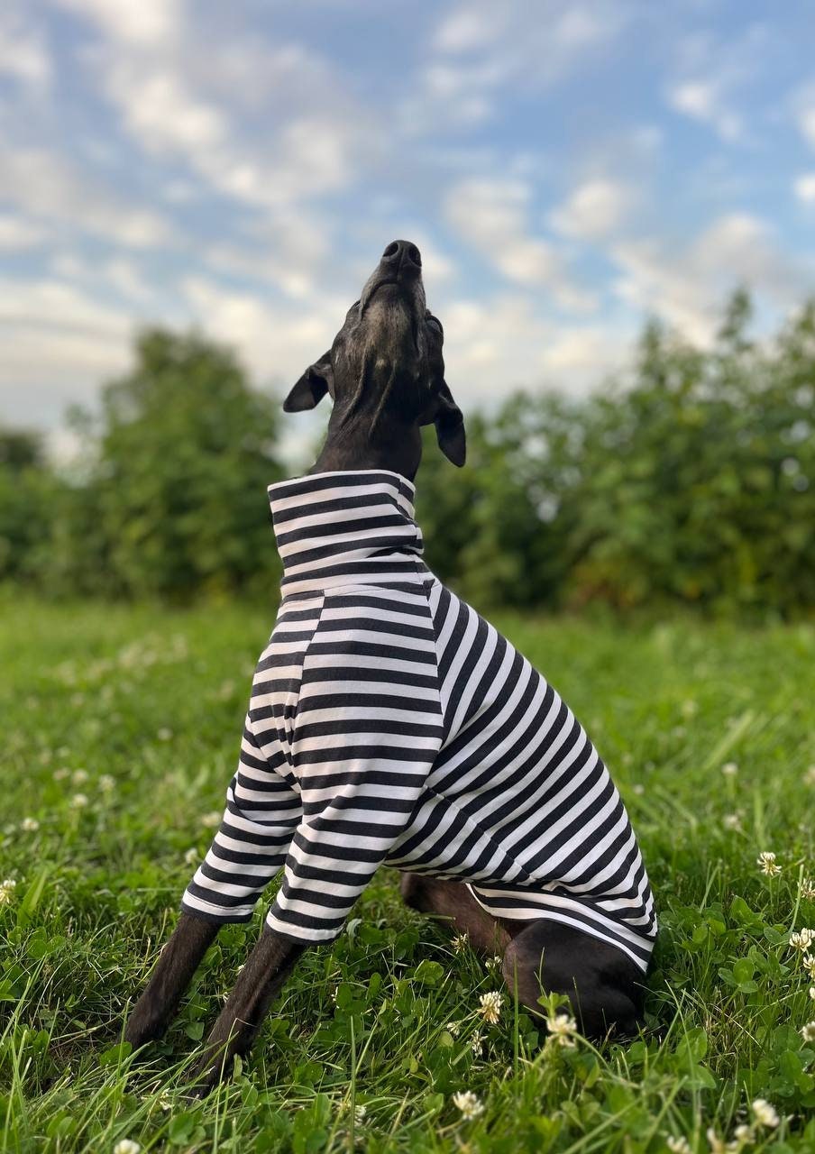 Dog Turtleneck Etsy Canada