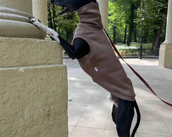 以下が含まれることがあります： 首の高い茶色のフリースベストを着た白黒の犬。犬は後ろ足で立ち、柱にもたれています。