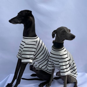 T-shirt rayé pour lévrier et whippet/Vêtement d'été pour chien