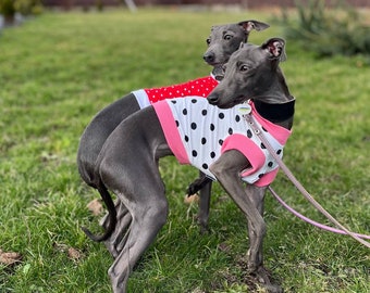 Cotton T-shirts for Italian Greyhound and Whippet.Clothes for dog.