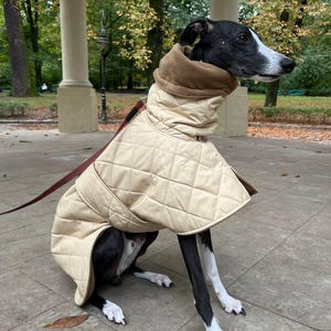 Beige winter coat/ Warm coat for Whippet or Greyhound