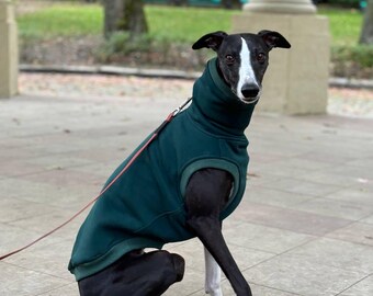 Sweater for Whippet and Greyhound/Cotton sweater -Green