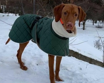 Winter coat for Vizsla/Custom order/Clothes for big dog/Green