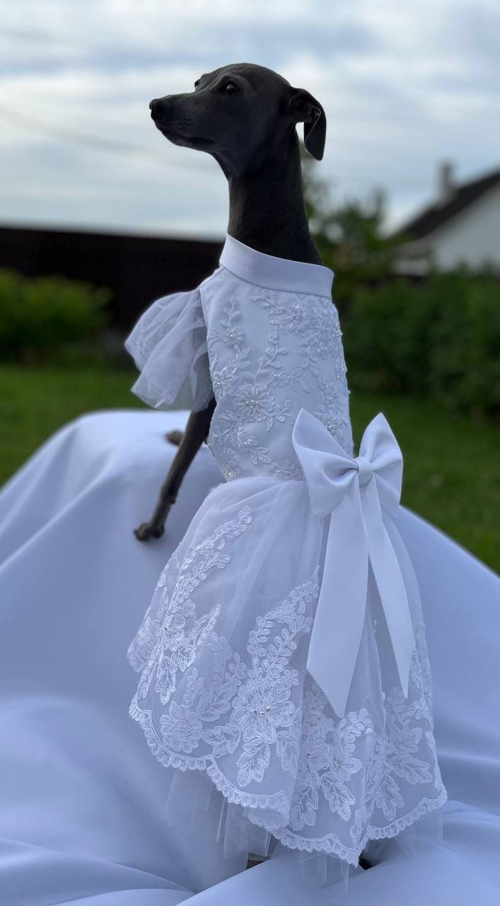 Dog Wedding Long Trailing Gown/white Dress for Pet/mom's Gift - Etsy
