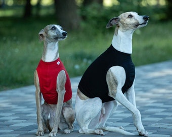 Jersey-Oberteil für Whippets und italienische Windhunde/T-Shirt/kurze Weste/T-Shirt