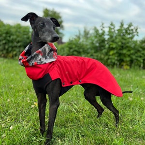 Red Fleece Lined Raincoat for Italian Greyhound & Whippet