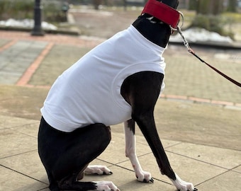 Dog shirt/White tshirt for Italian Greyhound and Whippet/Summer shirt/Tank top