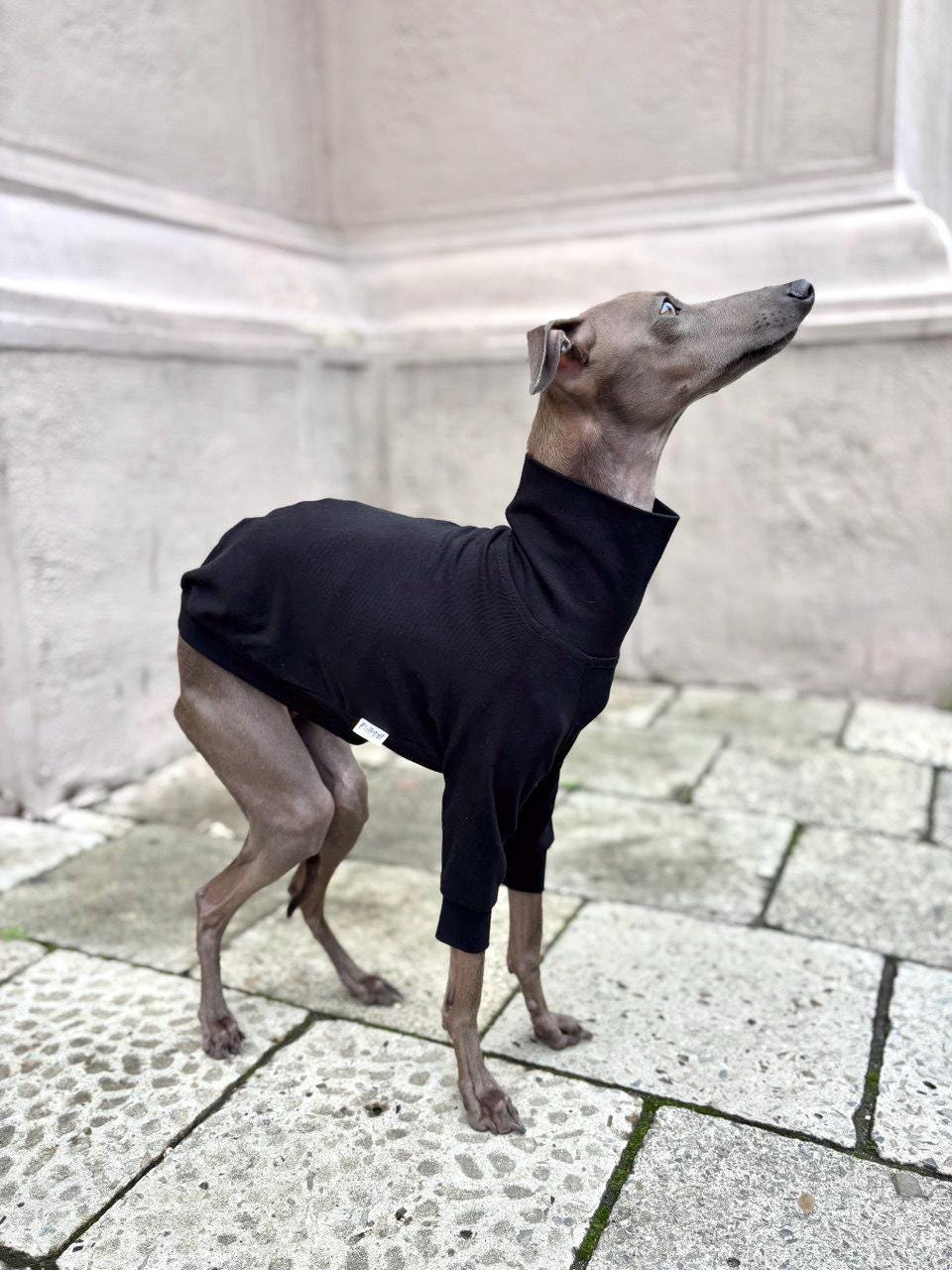 998428_4 998428_4
