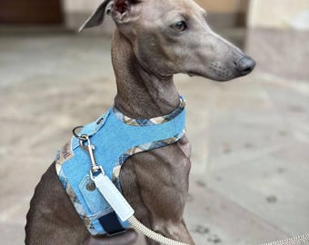 イタリアングレーハウンドハーネス/犬用デニムハーネス