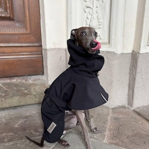 SoftShell=Coat for Whippet and Italian Greyhound/ Whippet clothes -Black
