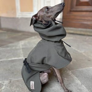 Raincoat for Italian Greyhound ,Whippet and Greyhound/SoftShell clothes -Khaki