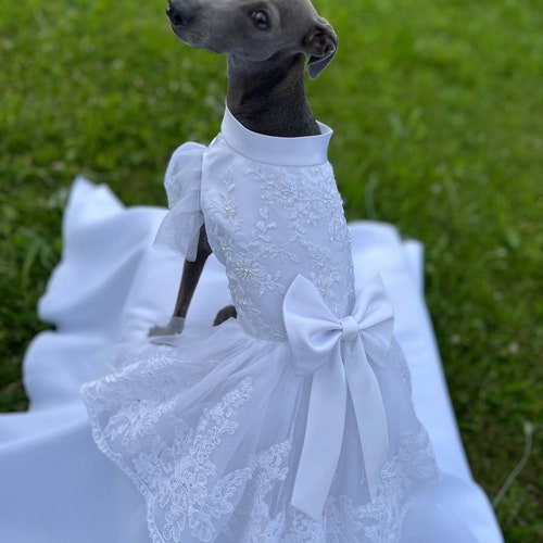 dog wedding dress Woofylove Special Events Dress: Make Every Occasion Unforgettable Barkwow also adorned with the chiffon and pearl bead flowers and six layers of high quality Tulle Big Dog Wedding Dress Posh