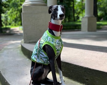Dog shirt/ Tshirt for Italian Greyhound and Whippet/Summer shirt/Tank top