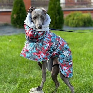 Winter coat for Italian Greyhound and Whippet/ Winter clothes