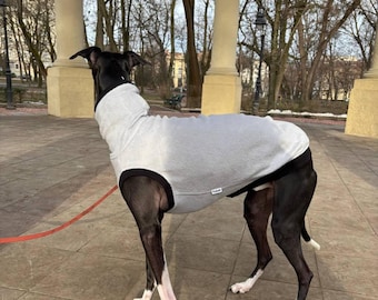 以下が含まれることがあります： 黒と白の犬が、黒い縁取りのある灰色のフード付きセーターを着ています。犬は公園のタイル張りの床に立っています。