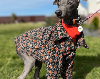 Tweed coat for a dog, orange turtleneck for a dog, Clothes for an Italian Greyhound and other small dog.Two products for one price.