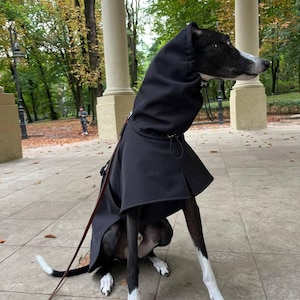以下が含まれることがあります： 黒い犬が灰色のタイル張りの床に座っています。犬は黒いフード付きのレインコートを着ています。犬は白い足と胸に白い斑点があります。
