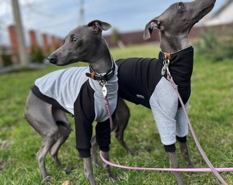 Jumper for Italian  Greyhound and Whippet /Grey/Black