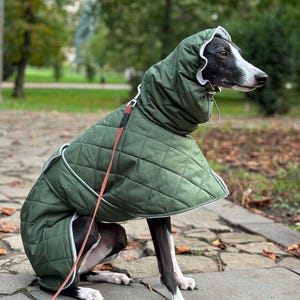 Warm coat for Whippet and Greyhound/ Green winter coat