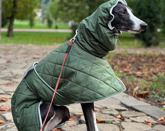 Warm coat for Whippet and Greyhound/ Green winter coat