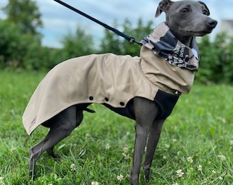 Può includere: Un levriero italiano grigio che indossa un impermeabile beige e un bandana nero e bianco con la scritta "found in the heart of the city" stampata su di esso. Il cane è in piedi sull'erba verde con fiori di trifoglio bianco.